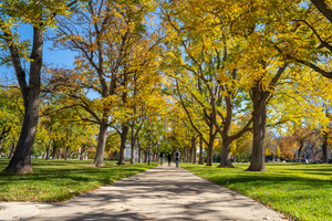 Graduate Fellowship Opportunity